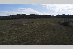 Vente terrain agricole Rasiguères  
