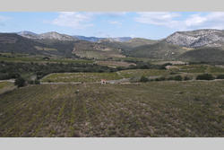 Vente terrain agricole Rasiguères  