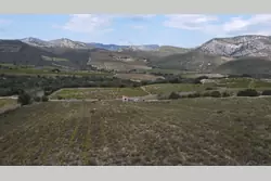 Vente terrain agricole Rasiguères  