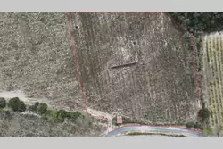 Vente terrain agricole Rasiguères  