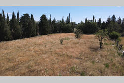 Vente terrain agricole Saint-Féliu-d'Avall  