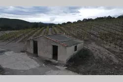 Vente terrain agricole Rasiguères  