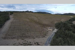 Vente terrain agricole Rasiguères  