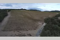 Vente terrain agricole Rasiguères  