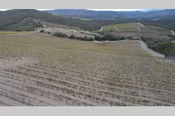 Vente terrain agricole Rasiguères  