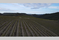 Vente terrain agricole Rasiguères  