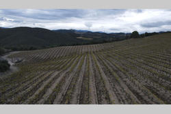Vente terrain agricole Rasiguères  