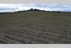 Vente terrain agricole Rasiguères  