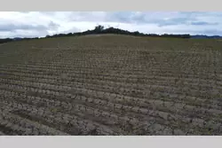 Vente terrain agricole Rasiguères  