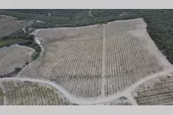 Vente terrain agricole Rasiguères  