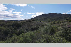 Vente terrain agricole Montner  