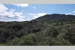 Vente terrain agricole Montner  