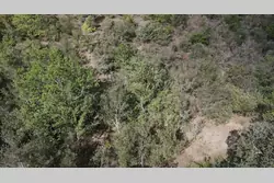 Vente terrain agricole Montner  