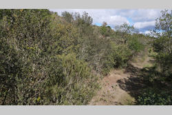 Vente terrain agricole Montner  