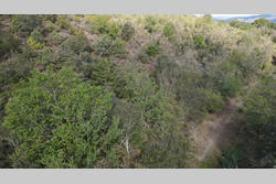 Vente terrain agricole Montner  