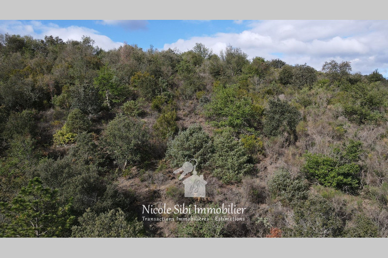 Vente terrain agricole Montner  