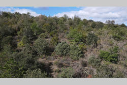 Vente terrain agricole Montner  