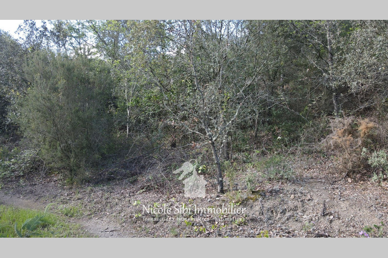 Vente terrain agricole Montner  
