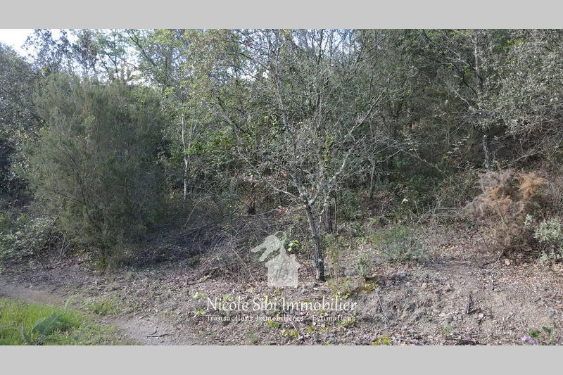Vente terrain agricole Montner  
