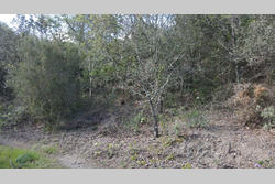 Vente terrain agricole Montner  
