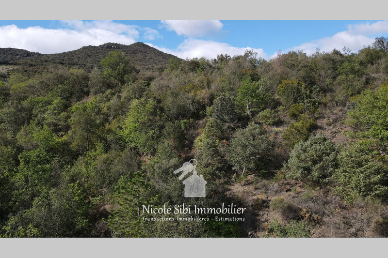 Vente terrain agricole Montner  