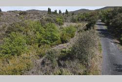 Vente terrain agricole Montner  