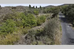 Vente terrain agricole Montner  