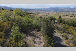 Vente terrain agricole Montner  