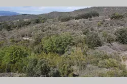 Vente terrain agricole Montner  