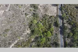 Vente terrain agricole Montner  