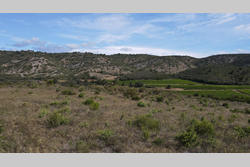 Vente terrain agricole Estagel  
