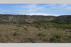 Vente terrain agricole Estagel  