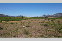 Vente terrain agricole Tautavel  