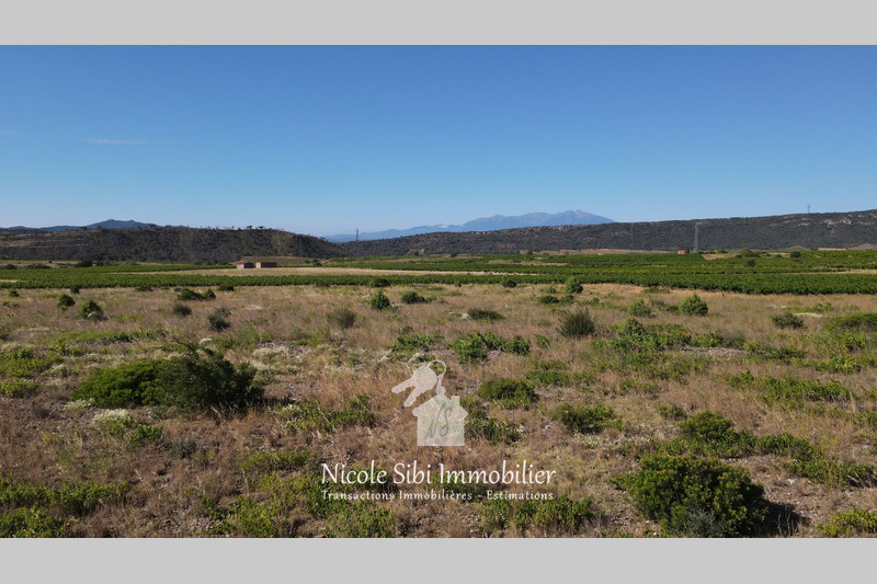 Vente terrain agricole Tautavel  