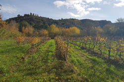 Vente terrain agricole Tautavel  