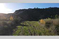Vente terrain agricole Tautavel  