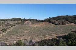 Vente terrain agricole Tautavel  