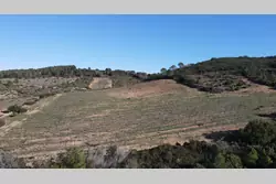 Vente terrain agricole Tautavel  