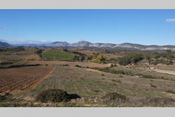 Vente terrain agricole Tautavel  