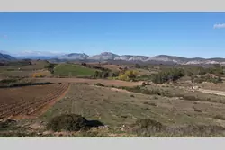 Vente terrain agricole Tautavel  
