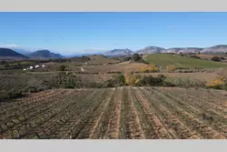 Vente terrain agricole Tautavel  