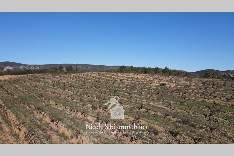 Vente terrain agricole Tautavel  