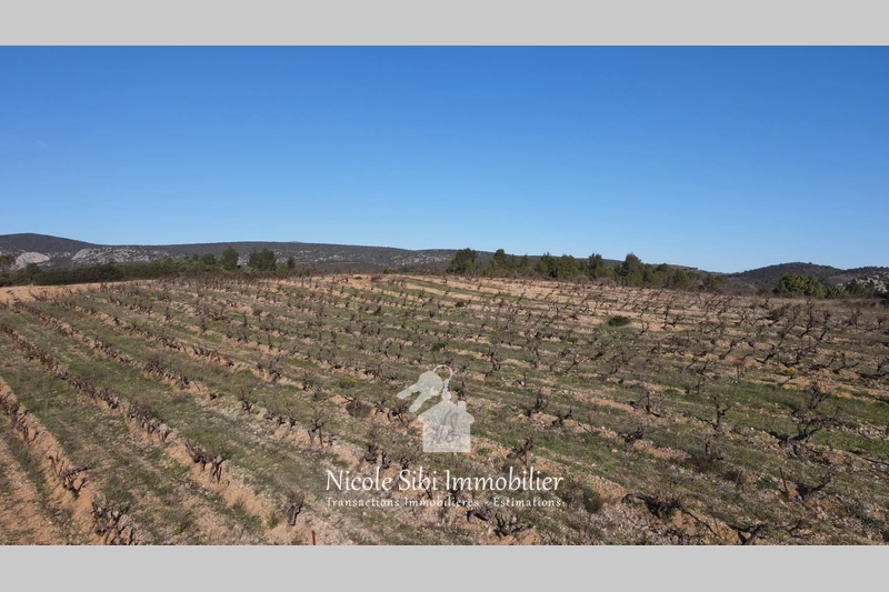 Vente terrain agricole Tautavel  