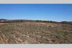 Vente terrain agricole Tautavel  