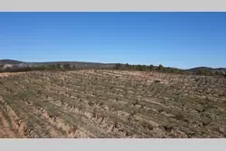 Vente terrain agricole Tautavel  