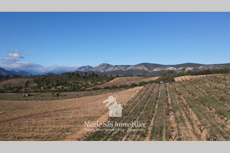 Vente terrain agricole Tautavel  