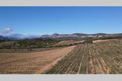 Vente terrain agricole Tautavel  