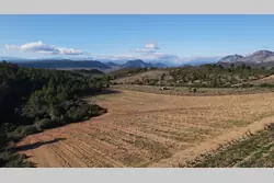 Vente terrain agricole Tautavel  