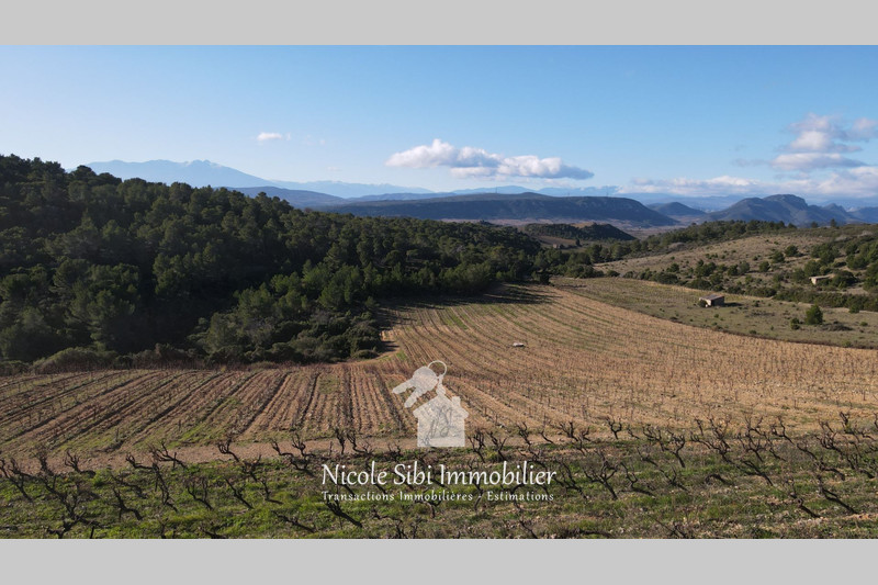 Vente terrain agricole Tautavel  