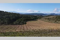 Vente terrain agricole Tautavel  